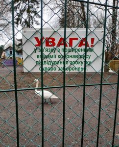 IMG_20200226_145358