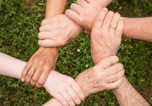 ground-group-growth-hands-461049