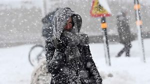 Фото з відкритих джерел