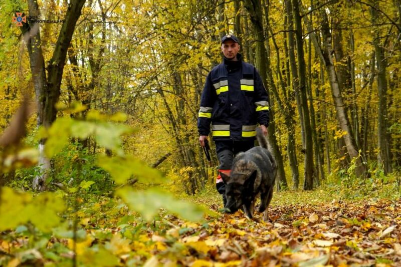 Пошукова операція в лісі: рятувальники шукають зниклу 75-річну грибницю на Тернопільщині